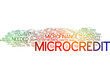 Microcredit