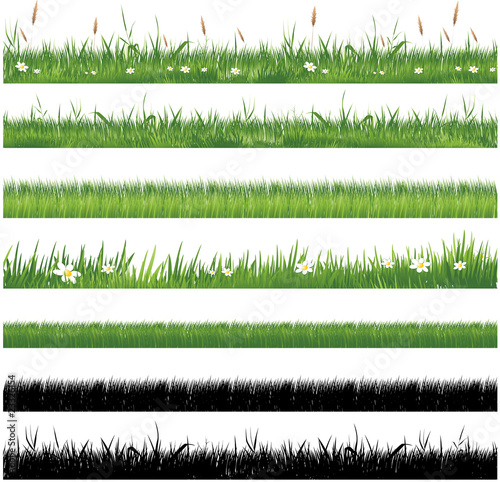 Vector: Green grass collection Green grass collection