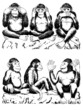 See no evil, hear no evil, speak no evil with variation