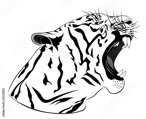tiger face tattoo. Tiger, tattoo