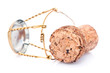Bouchon de Champagne