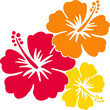 hawaiiblumen rot-orange-gelb