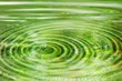 Reflection of bamboo forest