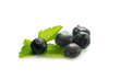 blueberries isolated - mirtilli su fondo bianco blueberries isolated - mirtilli su fondo bianco