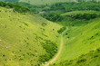 Green valley