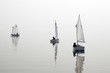 Optimist class yacht sailing Optimist class yacht sailing