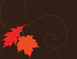 Vector background of colorful autumn leaves.