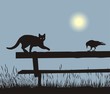 Cat and Crow