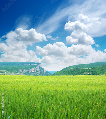 Photo: Green meadow in mountain Green meadow in mountain