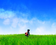 freedom
