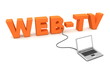 Laptop Wired to Orange WebTV
