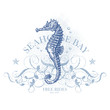 seahorse bay - retro summer design element