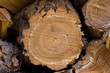 firewood