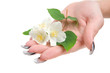 A branch of jasmine in the palm