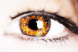 Auge - Feuer