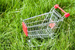 Einkaufswagen in Gras