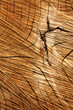 Holzstruktur