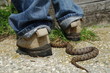 serpent !