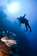 scuba diver and lionfish