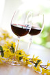red wine