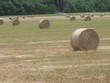 BALLE DI FIENO NELLA CAMPAGNA TOSCANA