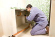 Carpenter at work