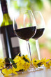 red wine red wine