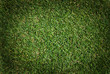 Green grass background
