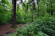природа