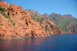 scandola