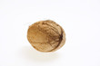 detail of raw wallnut detail of raw wallnut