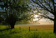 Sonnenaufgang
