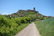 Vue sur Polignac et son château (Haute-Loire)