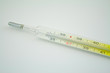 Thermometer 12