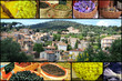 La Provence