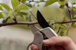Gardening