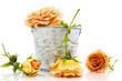 Cueillette de roses Cueillette de roses