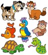 Pet cartoons collection Pet cartoons collection