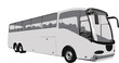 Vector vehicle over white