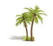 green tropical palm green tropical palm