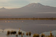 Wasser am Kilimanjaro
