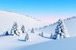 winter landscape with fir trees