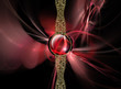 Fractal project