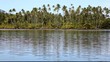 Palm beach, French Polynesia