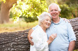Senior Couple Resting On Tree In Park