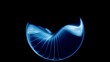 Blu Iris