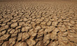 Dried land Dried land