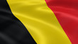 Belgian flag in the wind