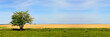 Mecklenburg Vorpommern