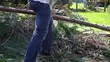 Video: Gartenarbeit ( Baum zerkleinern mit einer Handsäge ) Gartenarbeit ( Baum zerkleinern mit einer Handsäge )